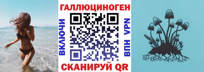 Купить где  Гаврилов-Ям  Галлюциногенные грибы Cubensis 